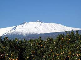 Etna visto da un aranceto