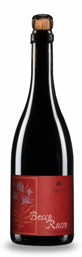 Lambrusco Grasparossa Fiorini