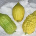 Perché nell’etichetta della cedrata non c’è indicato succo di cedro?