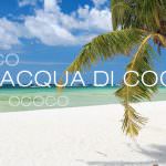 OCOCO - 100% acqua di cocco, si presenta a Biofach 2015 - Halle 4 Stand 763