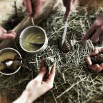 Alessandro "Magno" Dal Degan, Re dei sapori di Asiago, da La Tana a Identità Golose