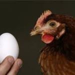 UnaItalia: Nel 2014 boom del pollo, e tutto il comparto registra produzione e consumi in ripresa