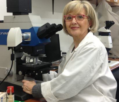 Parte la produzione in vivaio di 10.000 piantine di pomodoro SuperBio