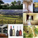 Green Travel Award 2015:  Urbino Resort premiato come migliore “Villaggio Eco”