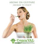 Fruit Logistica di Berlino: Copraval presenta i vasi di aromatiche alimentari