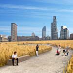 Milano: sabato si semina il grano in città...  mietitura a luglio, Expo 2015