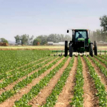 Coldiretti: "I primati del Made in Italy agroalimentare"