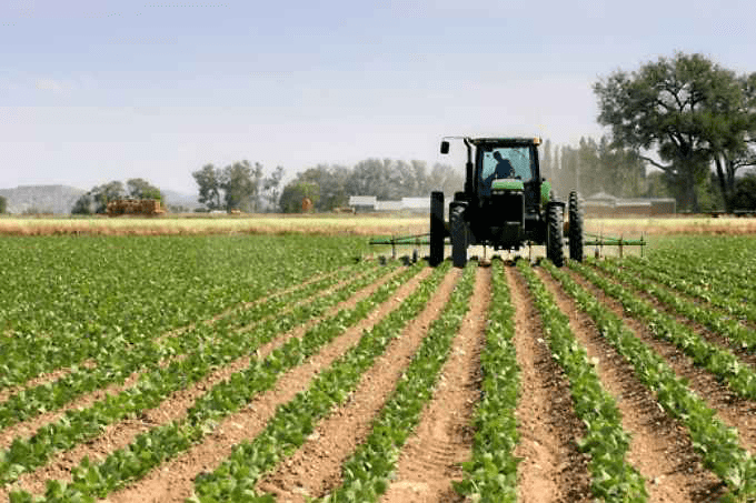 “Ottimizzare l’uso dei fertilizzanti”. La Regione Piemonte cambia l’agricoltura