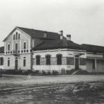 Le mucche da latte di Arborea nell'isola felice