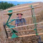 Intervista a Battista Cornaglia, ideatore di URTICA 2015 ad Alba, 8/10 maggio