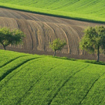 Pasta: Nel primo trimestre 2015 in Italia le vendite sono calate del 3,1% ma,  l’export è cresciuto del 3,6%
