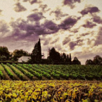 Azienda agricola Collina dei Poeti: Un luogo unico dove storia, poesia e tradizioni contadine sono ben radicate