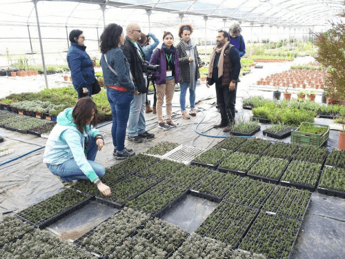 Il Percorso delle Torri e delle Primizie