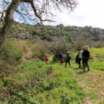 Il Percorso delle Torri e delle Primizie: Grande partecipazione e ottimi riscontri