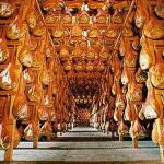 Aria di Friuli Venezia Giulia