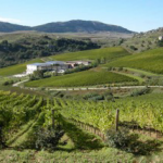 Degustazione FISAR Milano #unproduttorealmese con Baglio di Pianetto