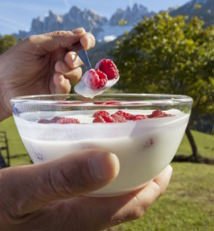 Dal 5 Luglio al 2 Agosto Vipiteno ospita le Giornate dello Yogurt