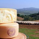 Tutela e promozione del Pecorino Toscano DOP: Firmato un accordo con eBay