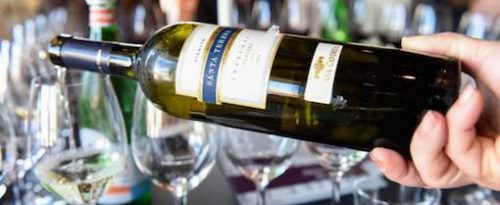 Vigneto Santa Teresa