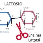 Quali formaggi per l'intolleranza al lattosio by Marco Di Lorenzi