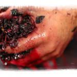 Zucchero in cantina: zuccheraggio, il 'vino col bastone'