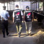 Expo Milano 2015: Meeting internazionale "Contrastare il crimine alimentare, rafforzare la sicurezza alimentare"