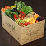 Cortilia.it: Frutta e verdura preziosi alleati per un'abbronzatura perfetta