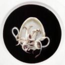 La cucina giapponese all’Accademia Gualtiero Marchesi