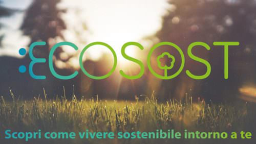 EcoSost