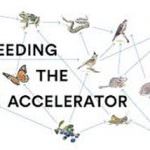 Feeding the Accelerator: Ecco  i 10 team selezionati per far parte dell'incubatore di start up