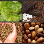 Il Magnesio, un prezioso alleato del benessere soprattutto in estate