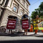 Greenpeace: Non rinnovate le licenze per la pesca alle acciughe nello Stretto di Sicilia