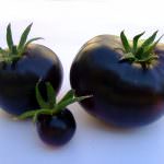 Smartfood naturale, ecosostenibilità e colture integrate: Al via a Viterbo Tuscia Food Valley