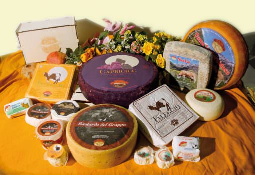 CM Formaggi Italiani, al Bellavita Expo 2015, cerca importatore per UK