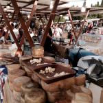 A Firenze arriva Bio a Colori