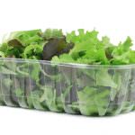 Un’insalata al giorno mantiene giovane il cervello