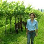 FIVI: Troppo presto per fare previsioni sull'annata