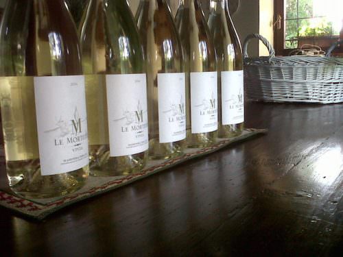 ospiticinesi le mortelle casamia