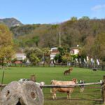 L’Expo può essere un’occasione per riscoprire Varese