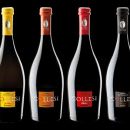 La Birra artigianale secondo Collesi