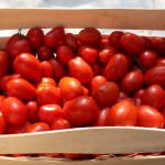 Cremona e Piacenza: Nasce il colosso italiano del pomodoro