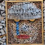 A Mezzano di Primiero il legno è protagonista e si fa capolavoro