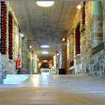 I quadri di Elisa Donetti: “Tra cielo e terra”, nella Cantina Paradiso di Peppe Zullo