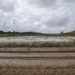 Alluvione nel beneventano: La Cia porta solidarietà concreta agli agricoltori