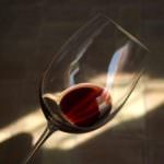 Torino Beve Bene: Il 25/10 degustazione aperta di vini biologici e biodinamici