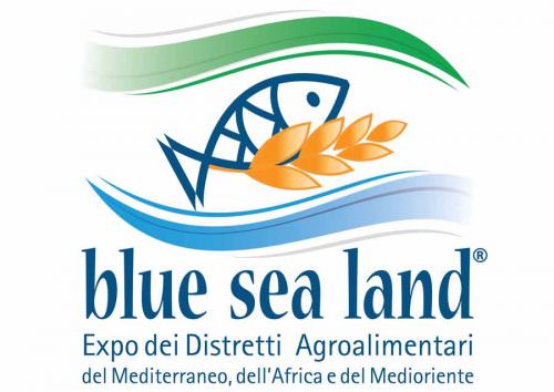 Logo Blue Sea Land