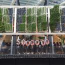 Il Padiglione USA accoglie il suo 5milionesimo visitatore