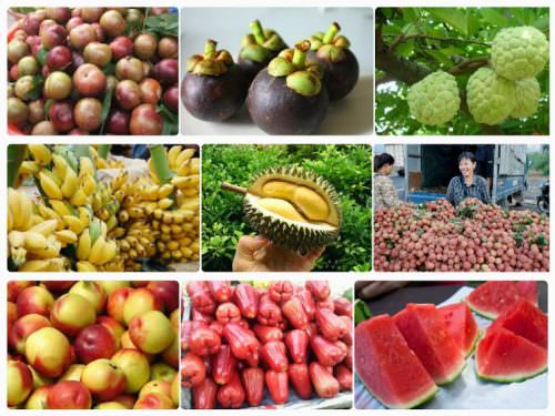 frutta_in_vietnam