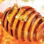 Presentazione GIALLO come il MIELE a Expo - 29 ottobre