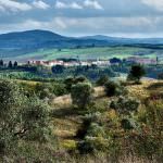 San Giovanni D'Asso: Tartufi e tartufai delle Crete Senesi
